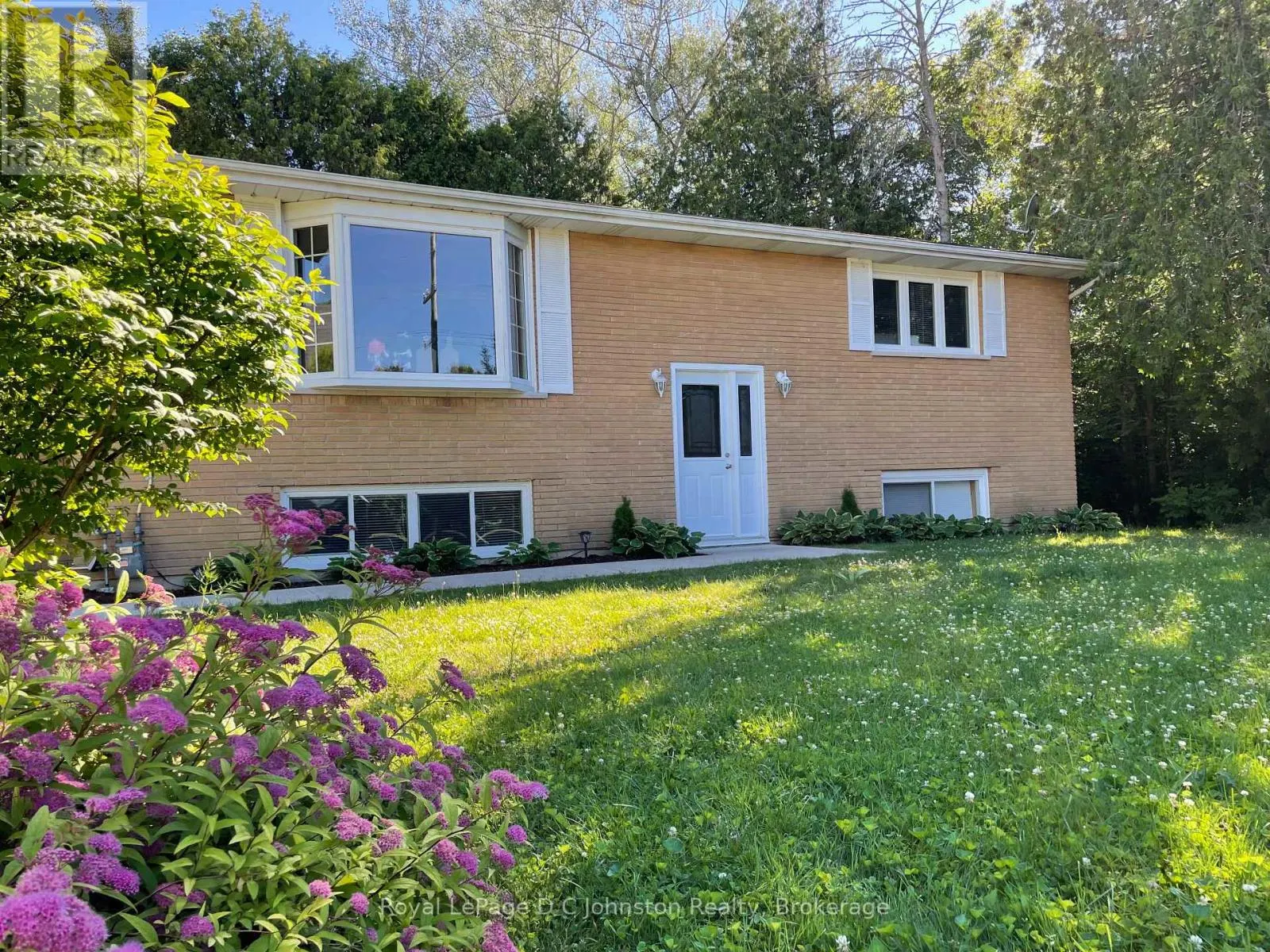 341 PALMERSTON STREET