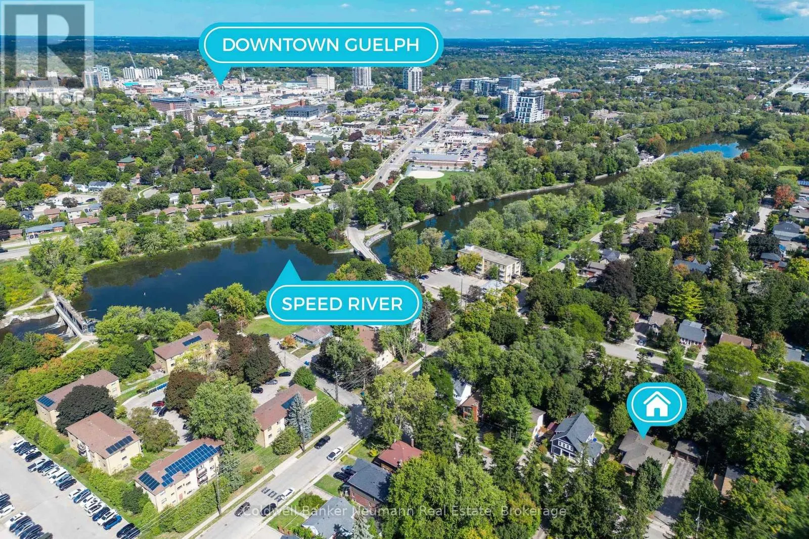 LOWER - 18 FOREST HILL DRIVE, #Lower