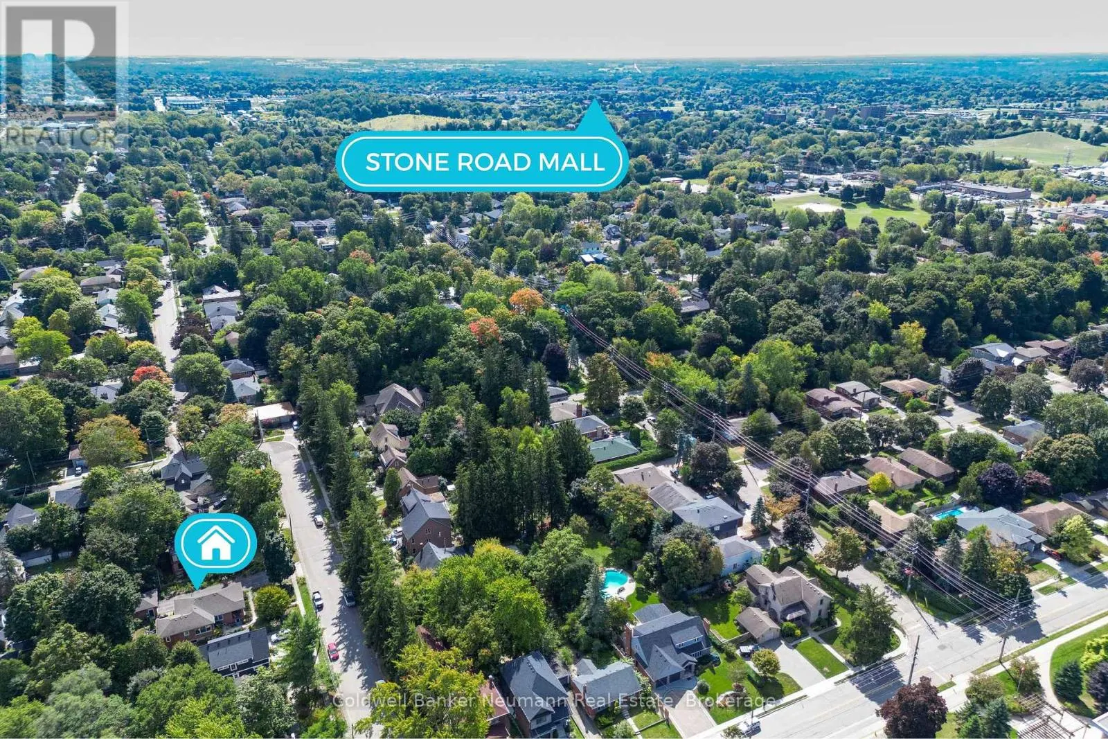 LOWER - 18 FOREST HILL DRIVE, #Lower