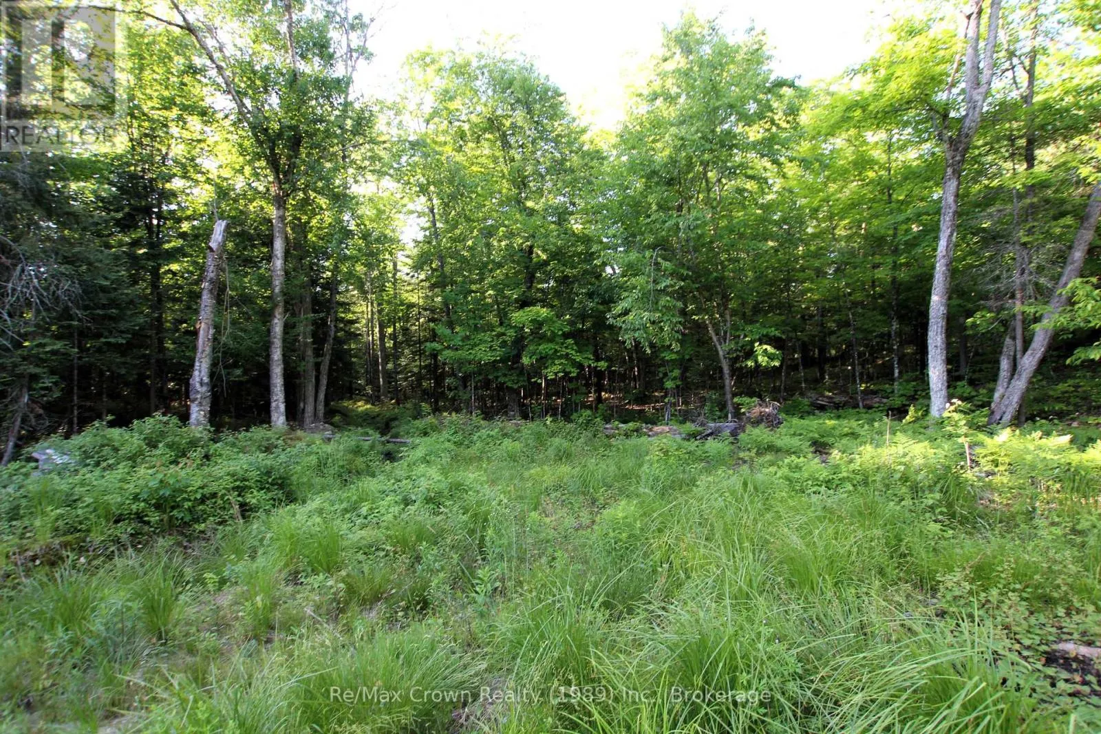 453 PILGERS ROAD
