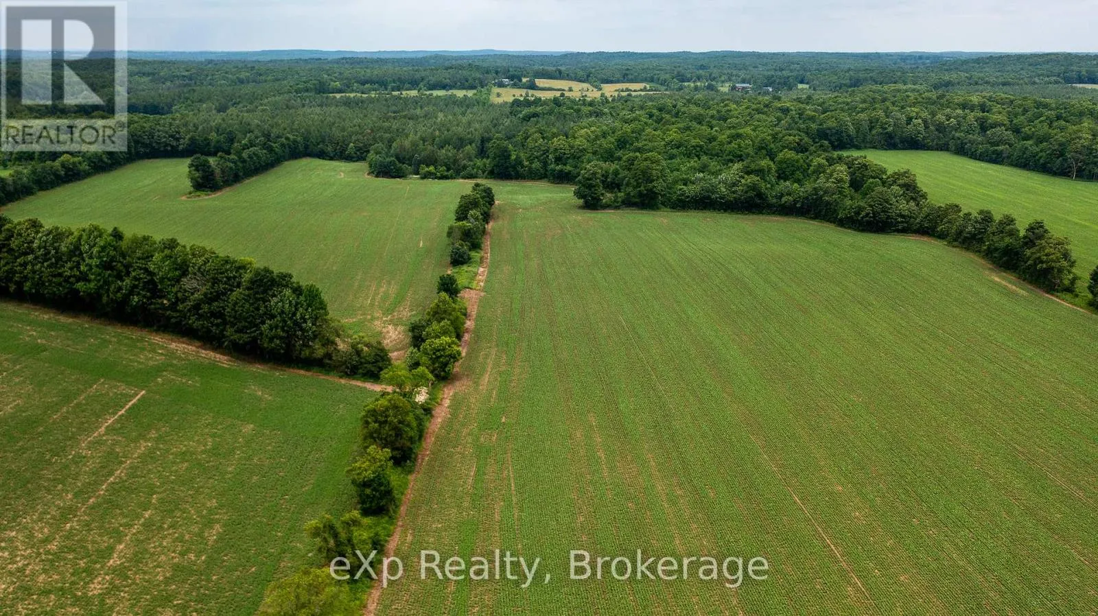 522357 CONCESSION 12 NDR