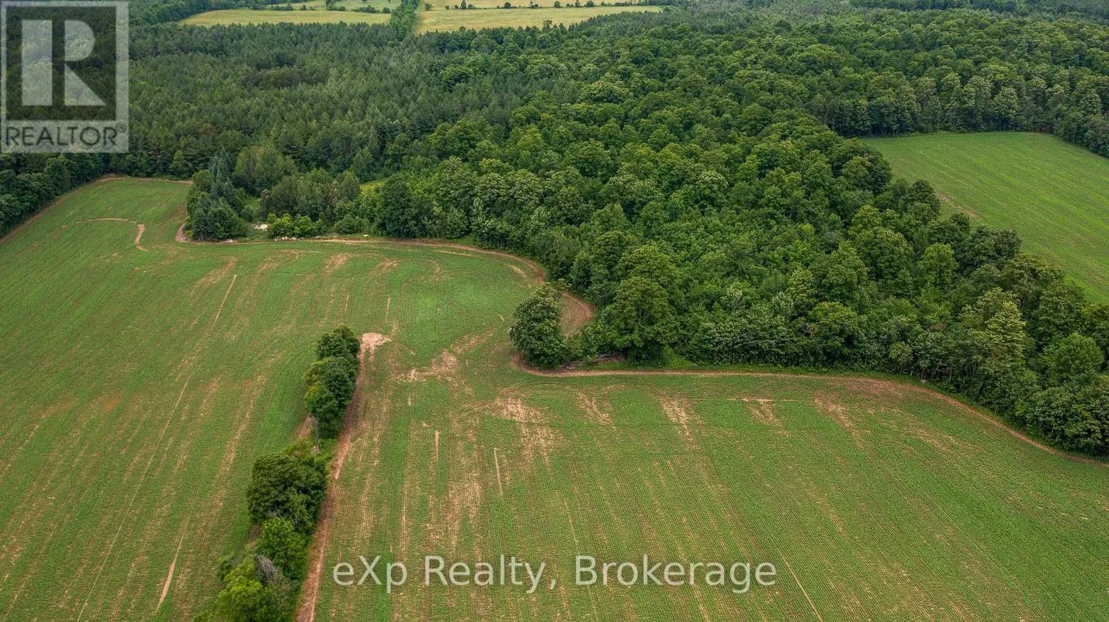 522357 CONCESSION 12 NDR