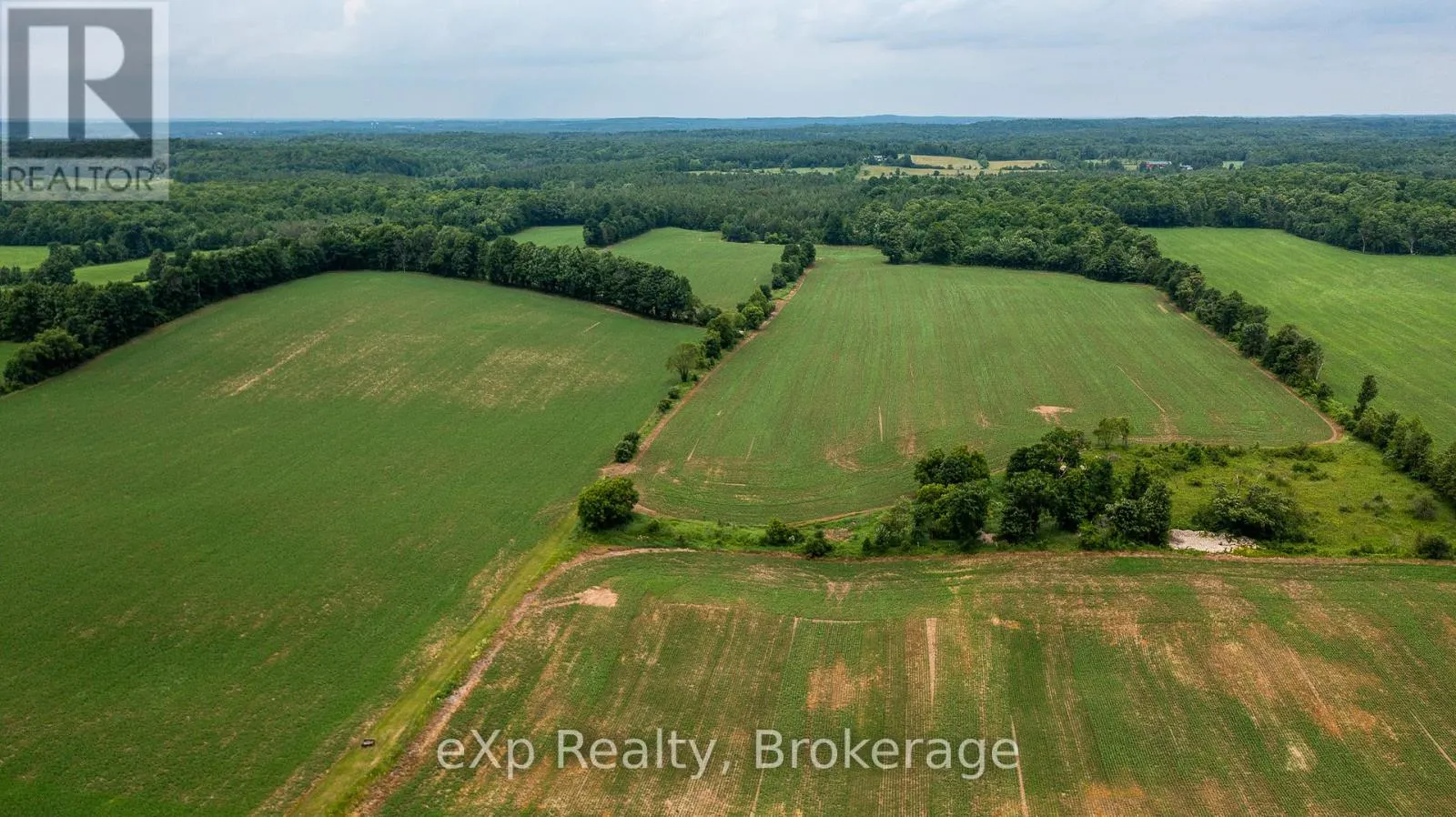 522357 CONCESSION 12 NDR
