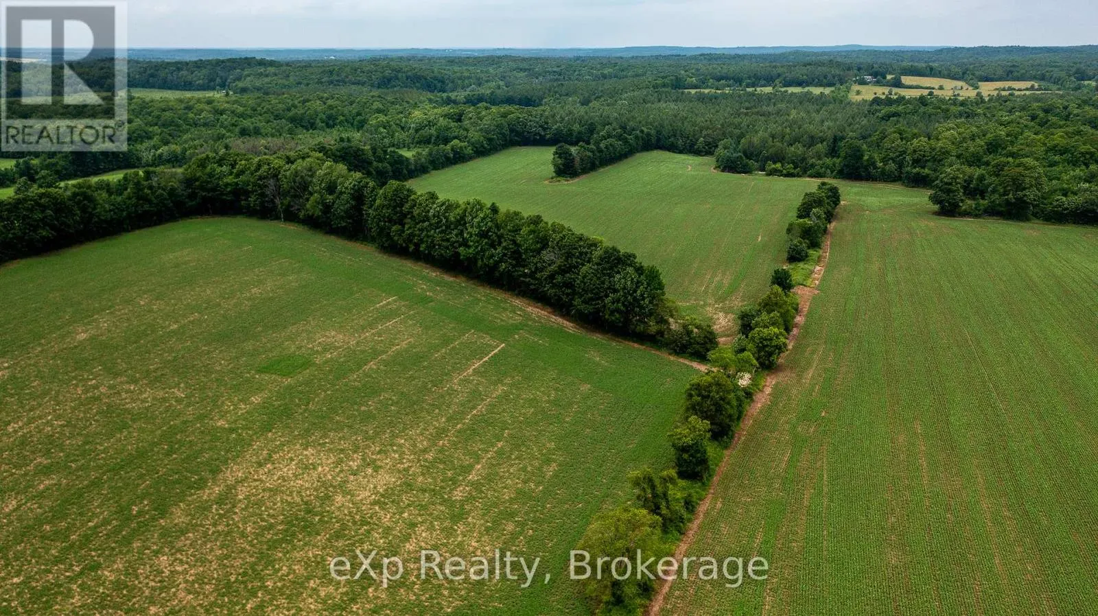 522357 CONCESSION 12 NDR