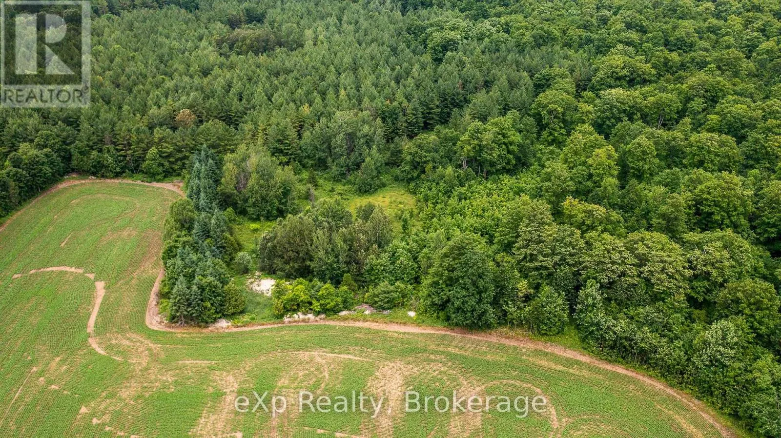 522357 CONCESSION 12 NDR