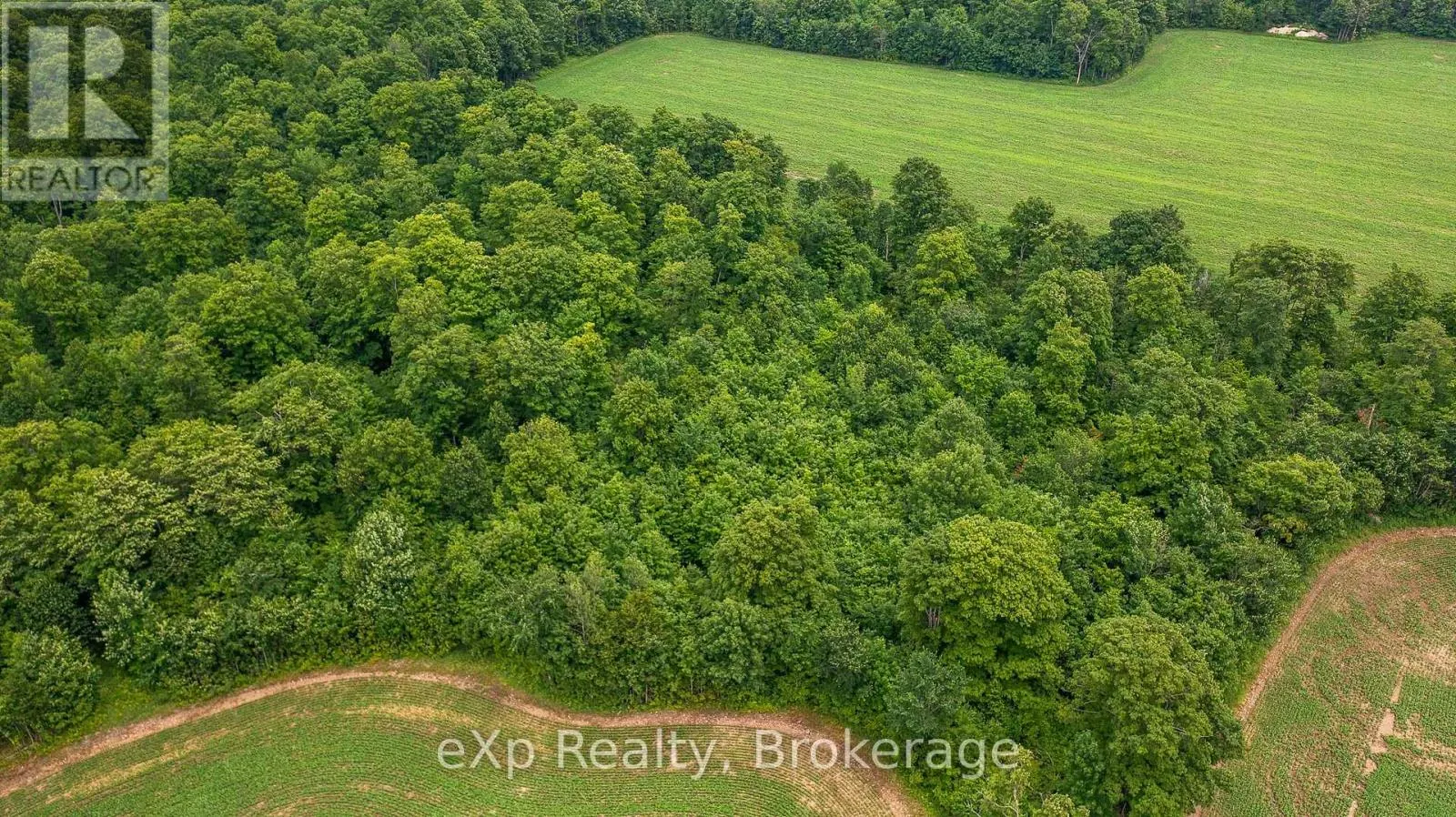 522357 CONCESSION 12 NDR