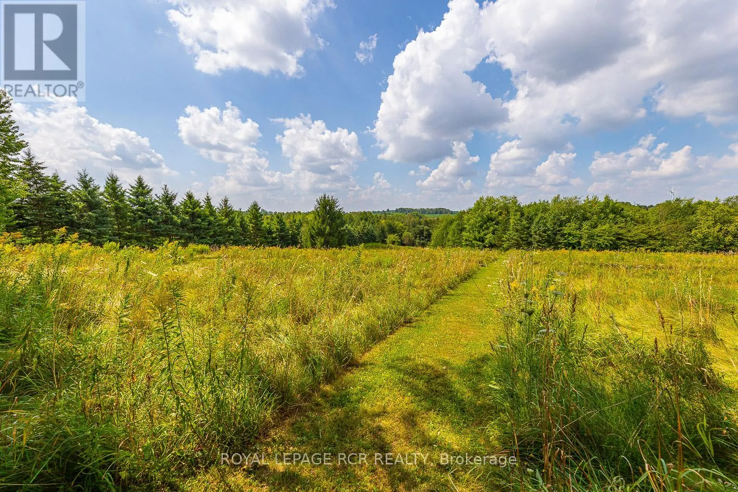 282398 COUNTY RD 10