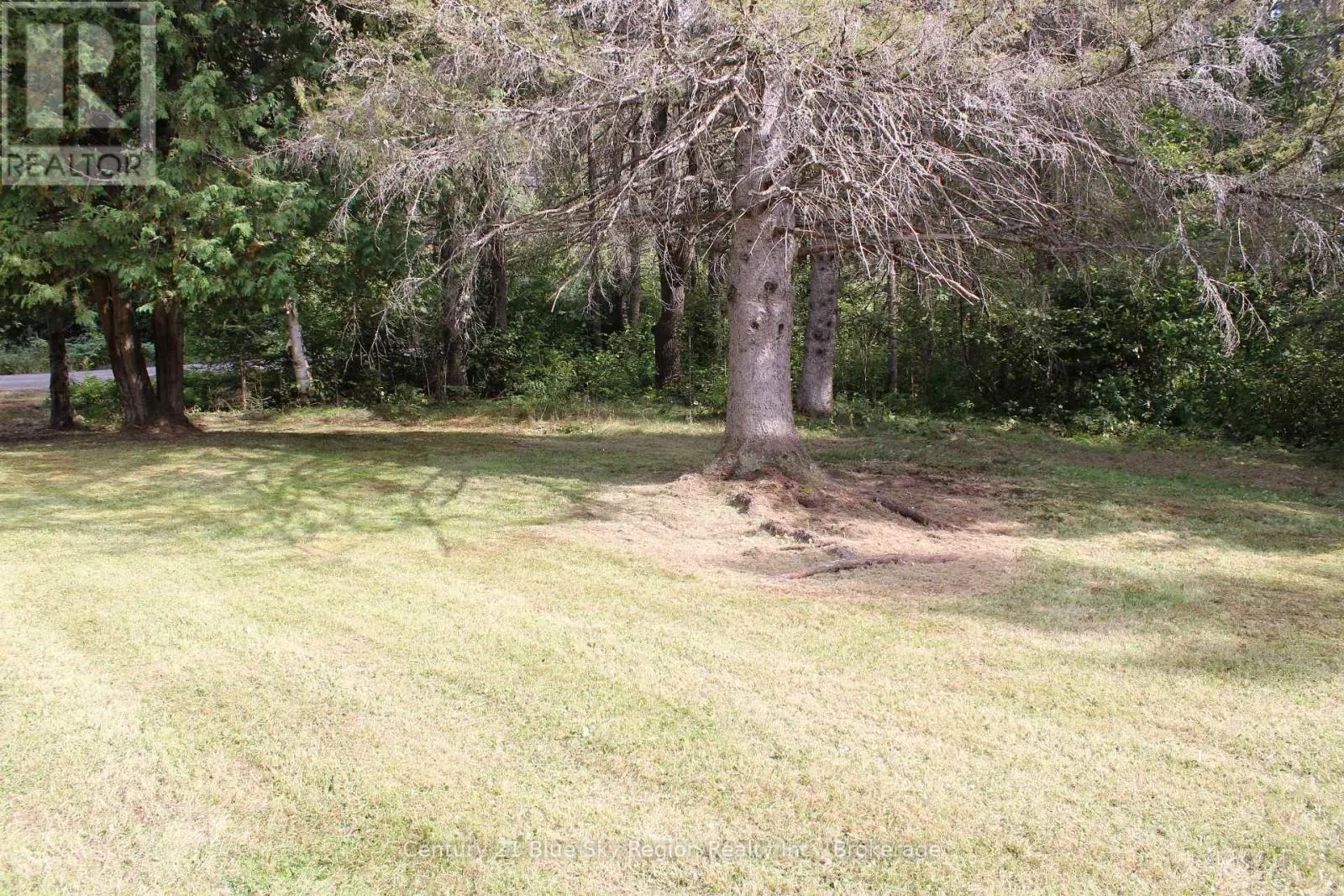 531 OAKWOOD ROAD