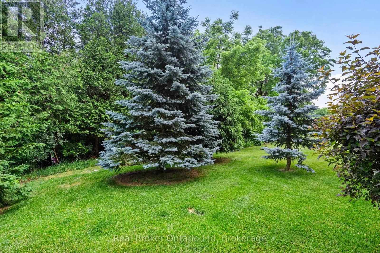 221 MILLVIEW COURT
