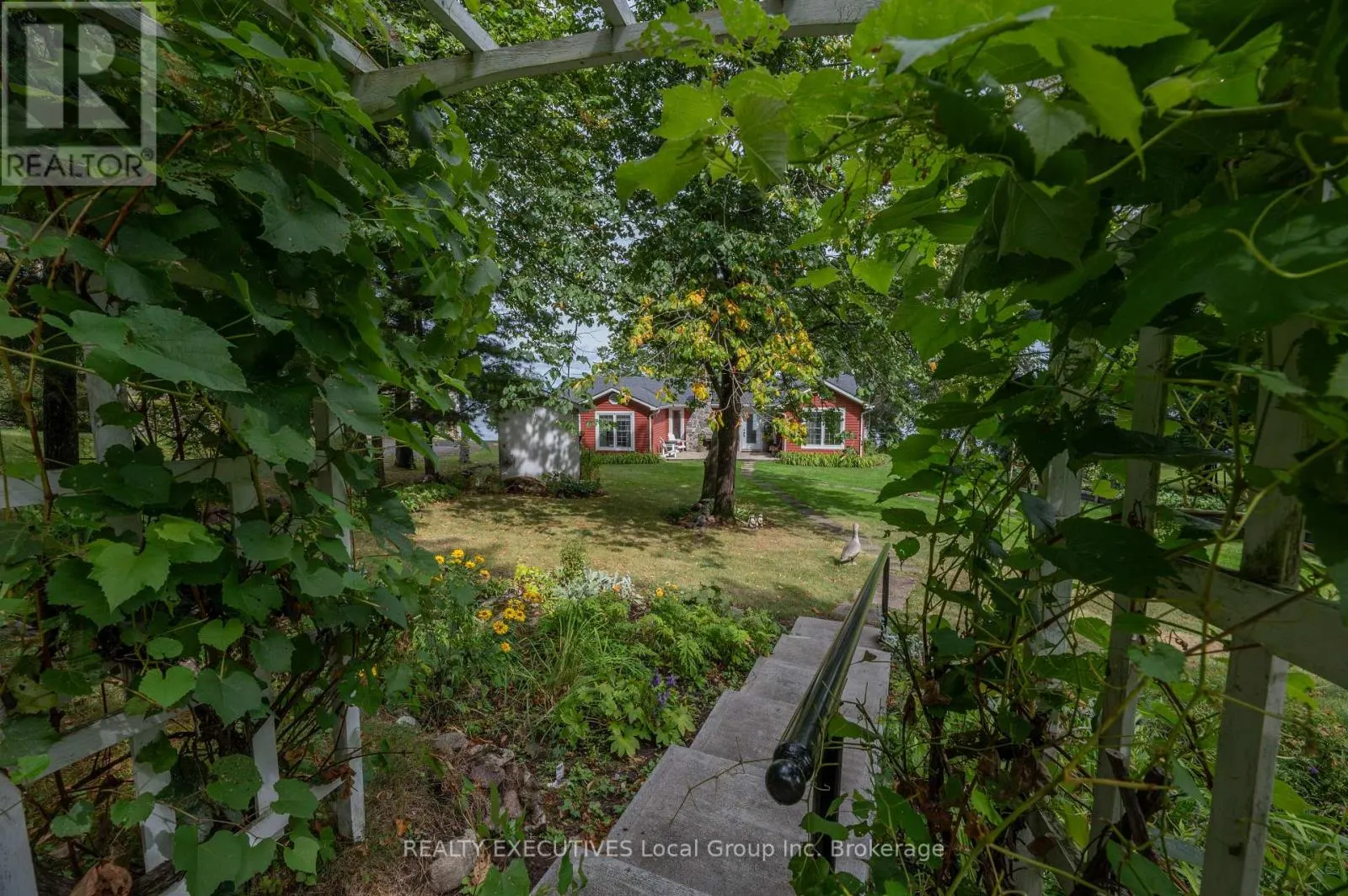 4 NINOVAN ROAD W