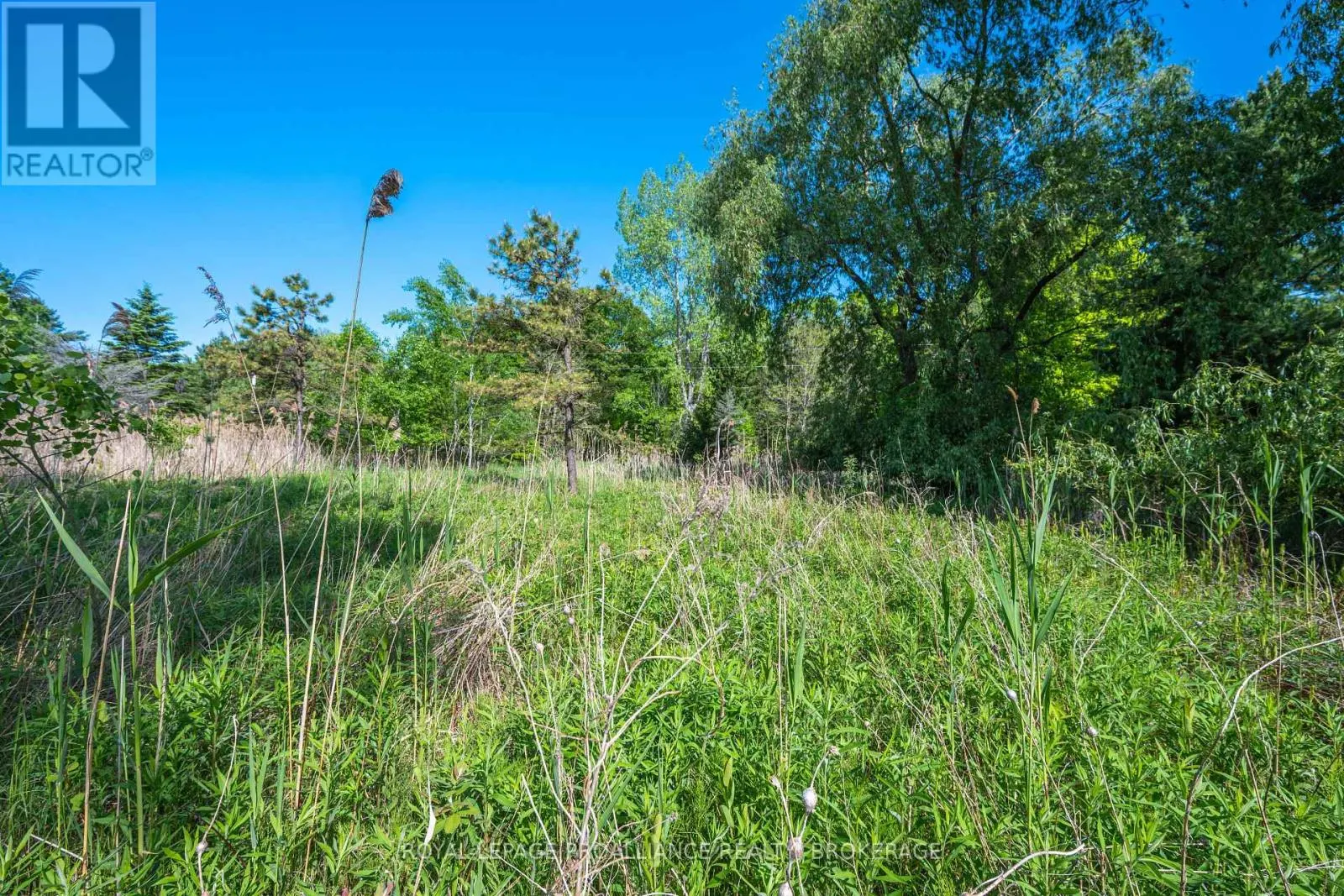 1168 THOUSAND ISLAND PARKWAY