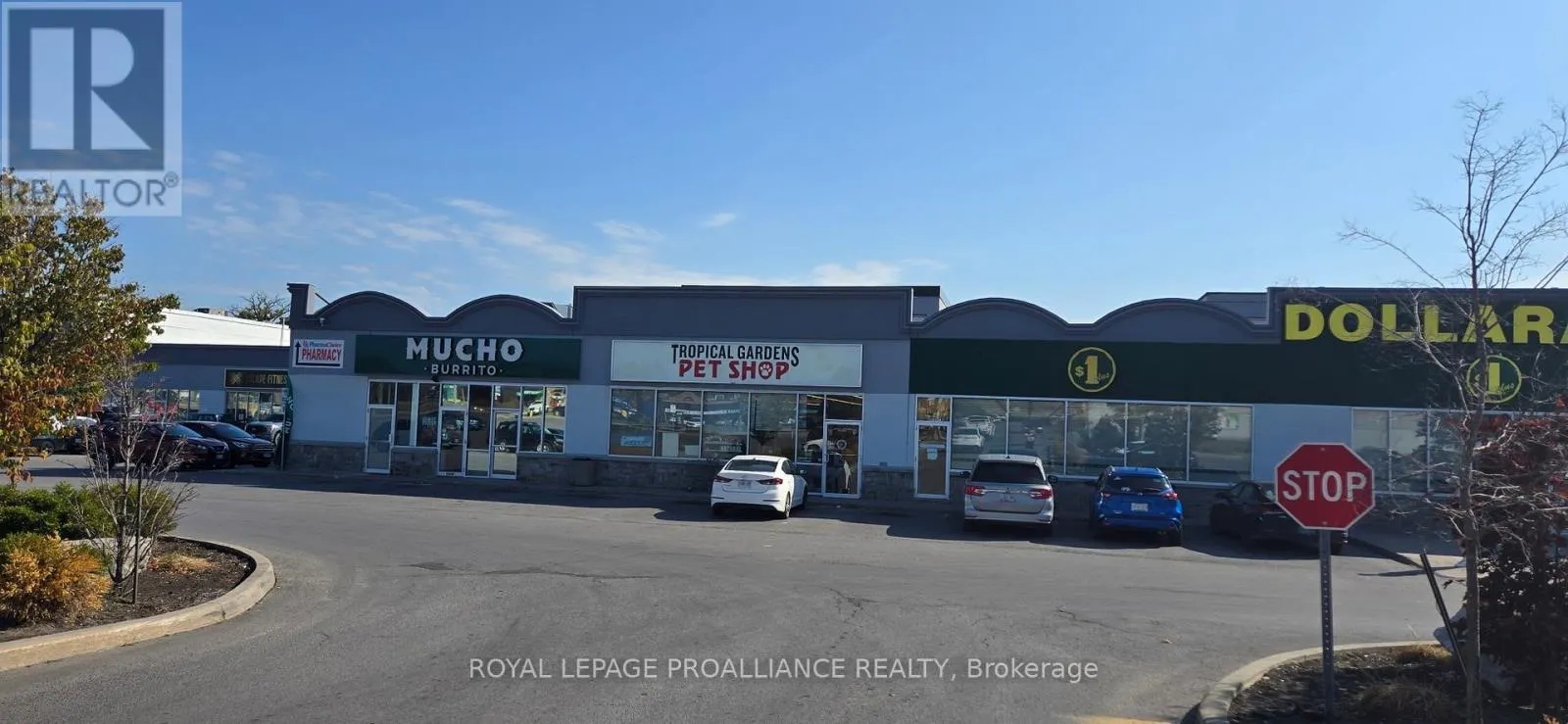 12 - 161 BRIDGE STREET W, #12