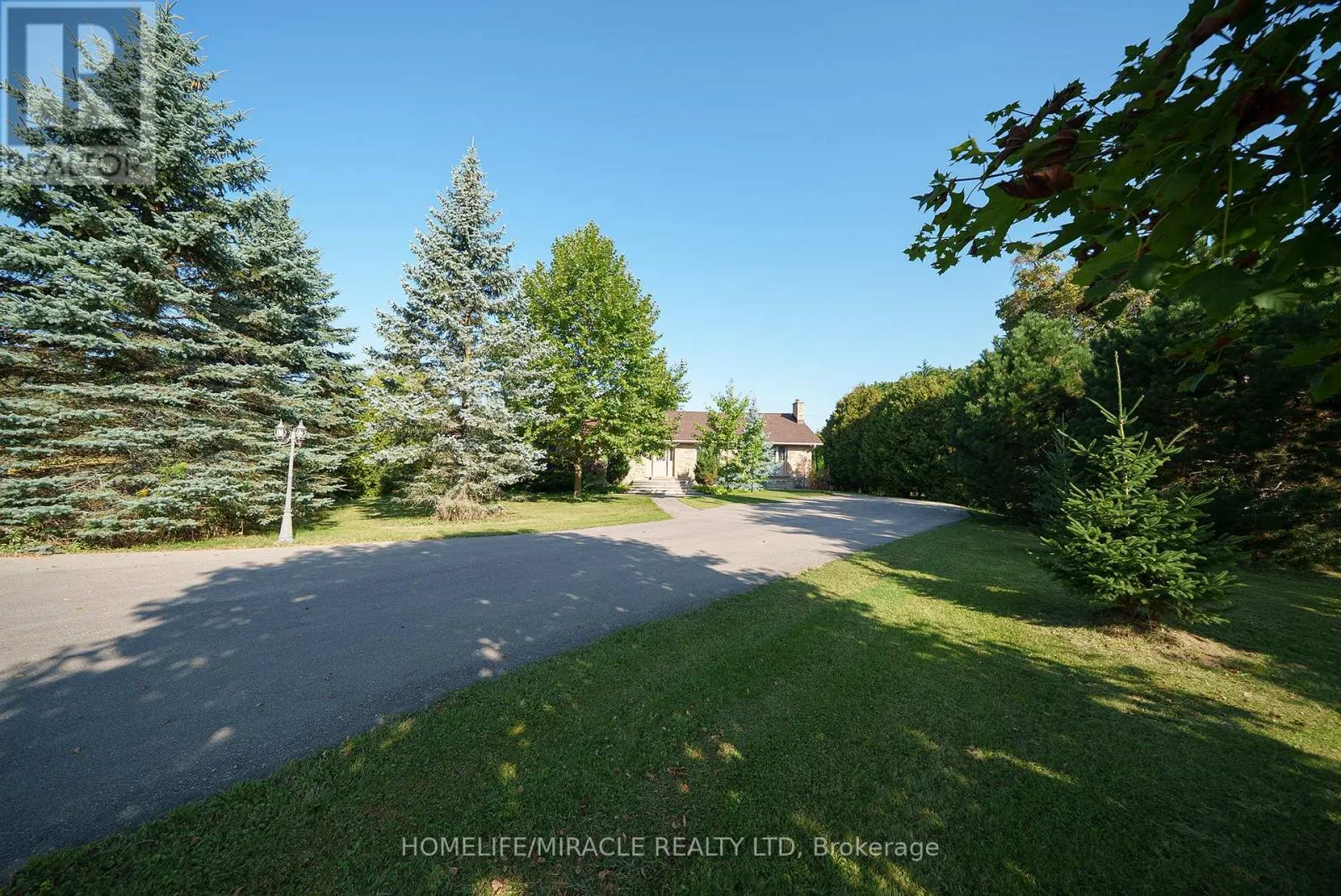385 MOUNT PLEASANT ROAD