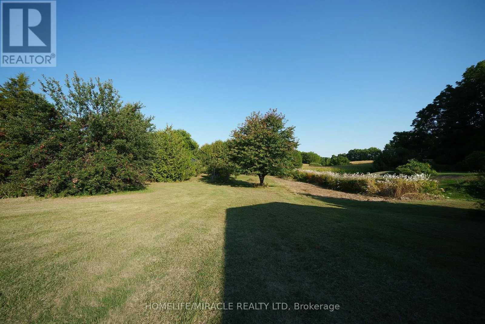 385 MOUNT PLEASANT ROAD