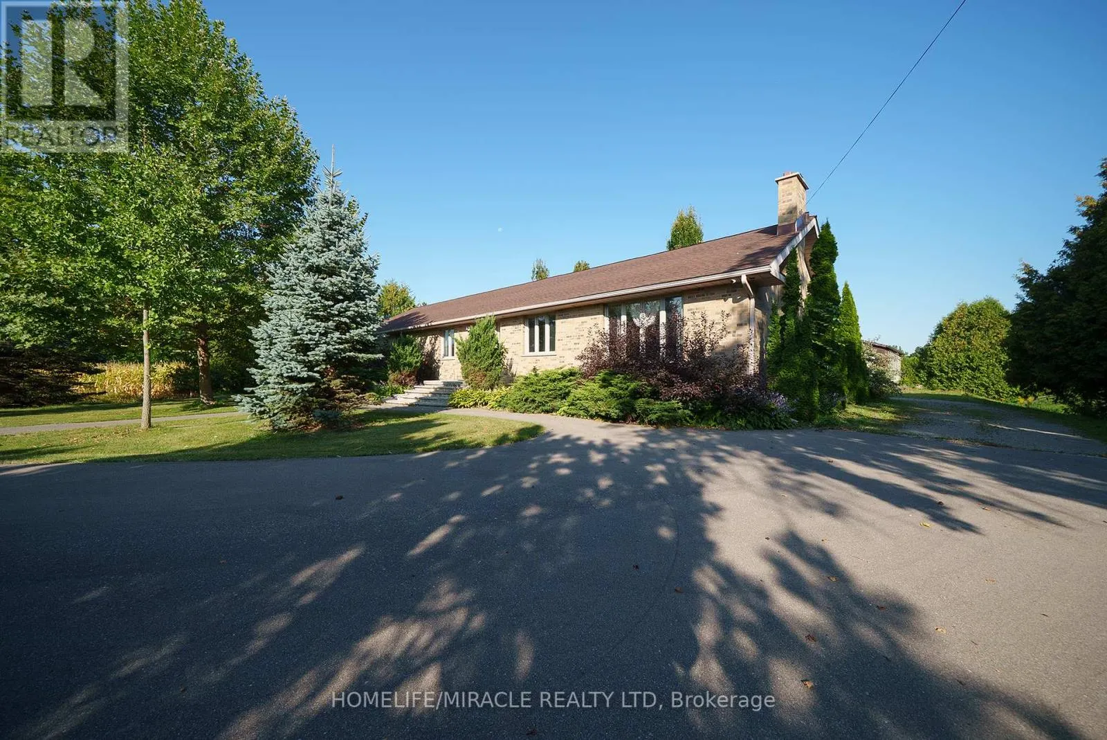 385 MOUNT PLEASANT ROAD