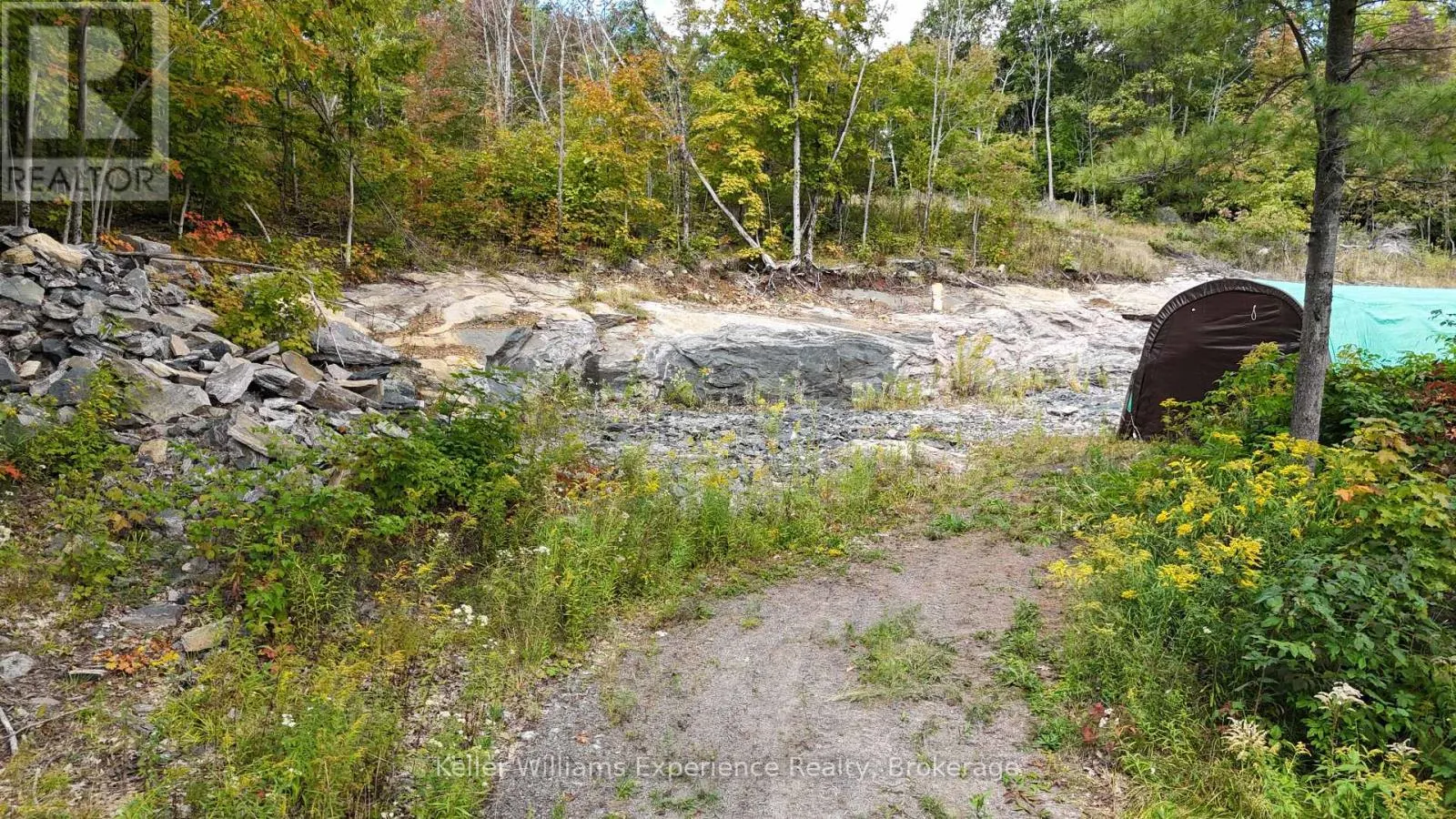 1681 MUSKOKA BEACH ROAD