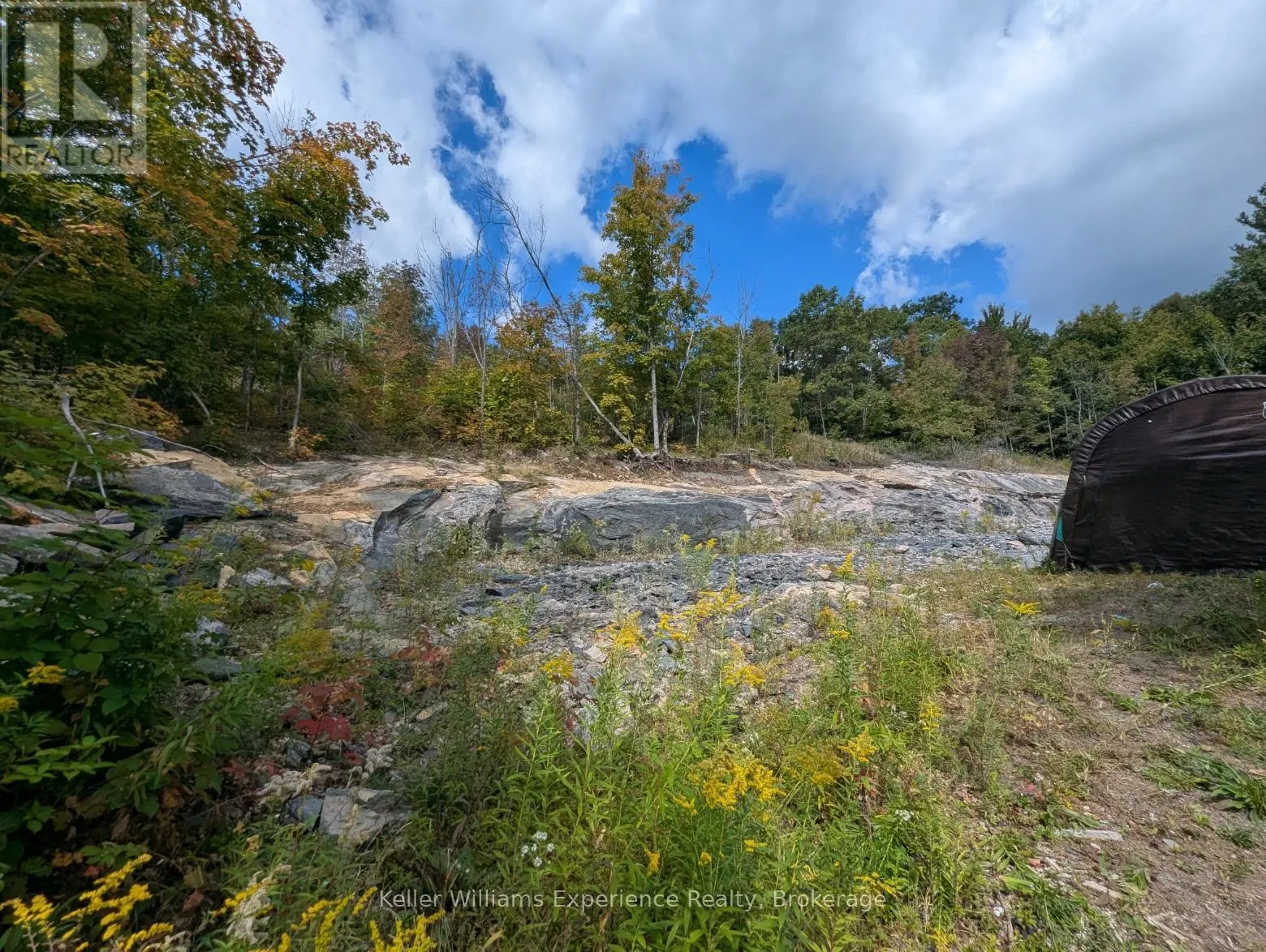 1681 MUSKOKA BEACH ROAD