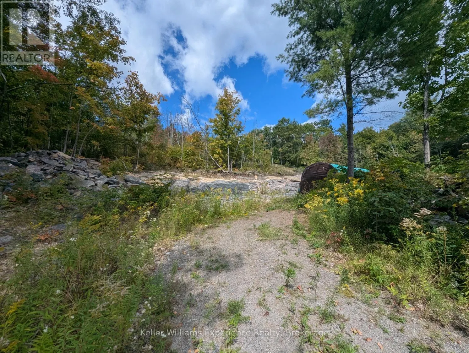 1681 MUSKOKA BEACH ROAD