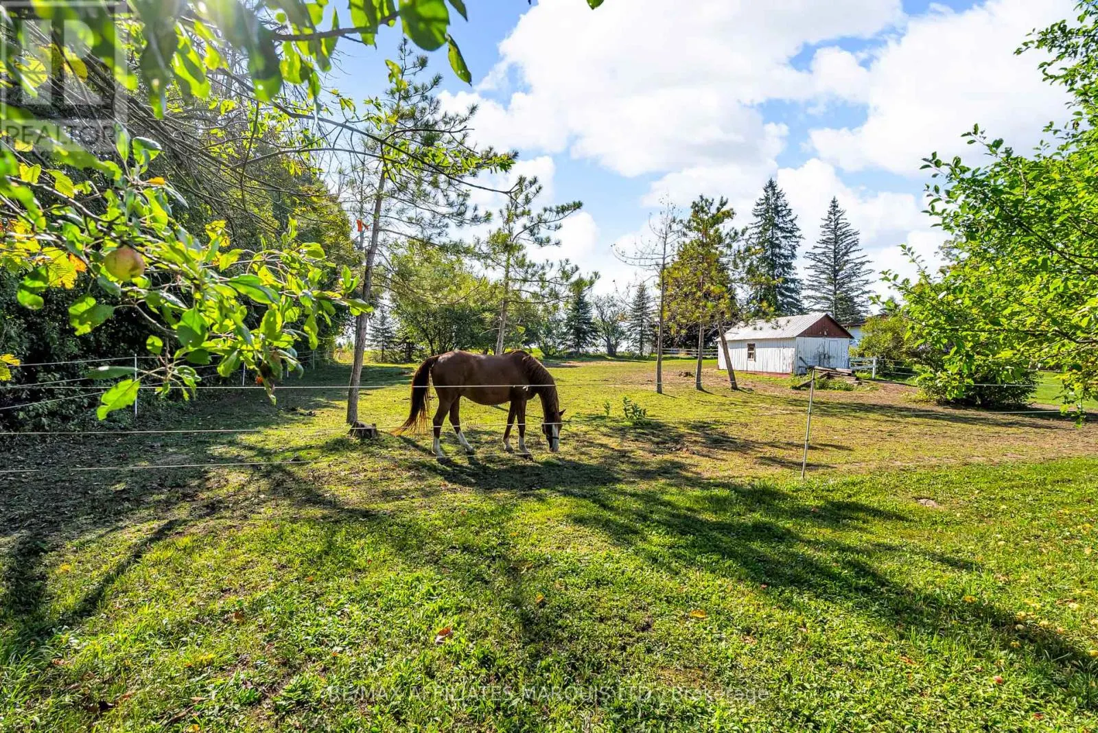 18659 COUNTY RD 19 ROAD