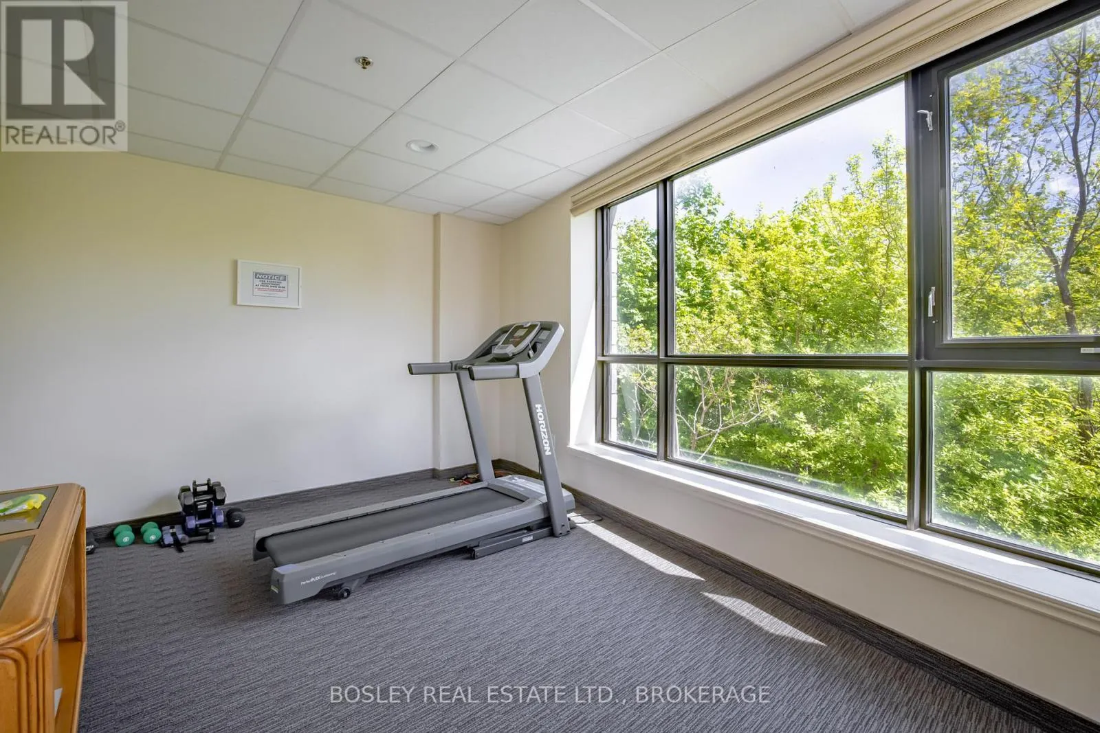 202 - 379 SCOTT STREET, #202