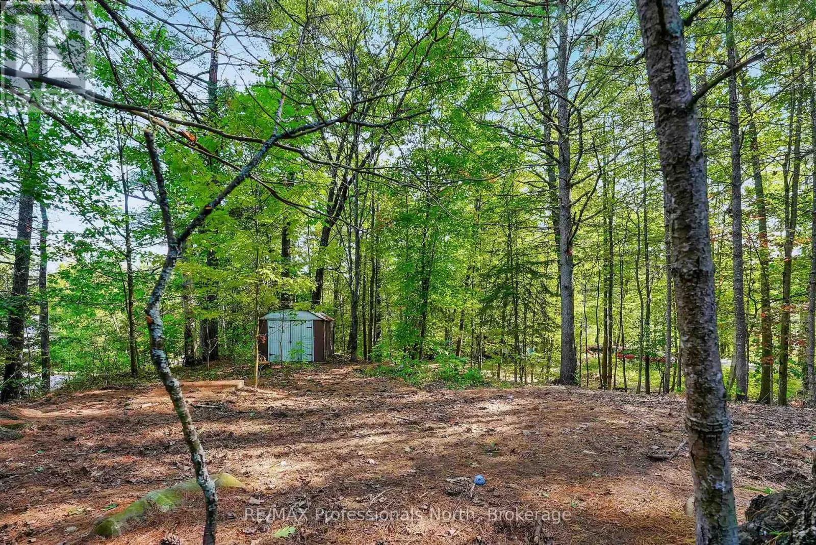 1021 MILLWOODS ROAD