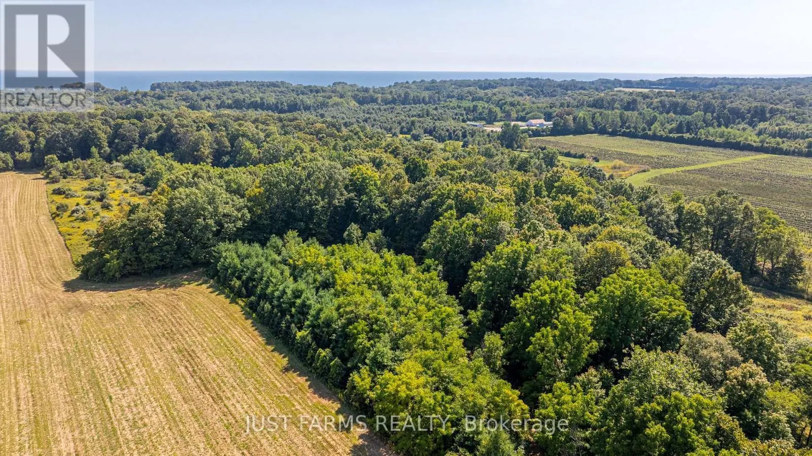 22889 TALBOT LINE