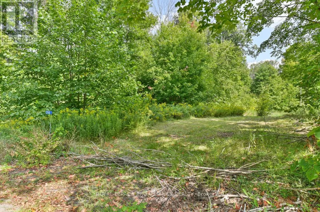 316 HIGH SHORE ROAD