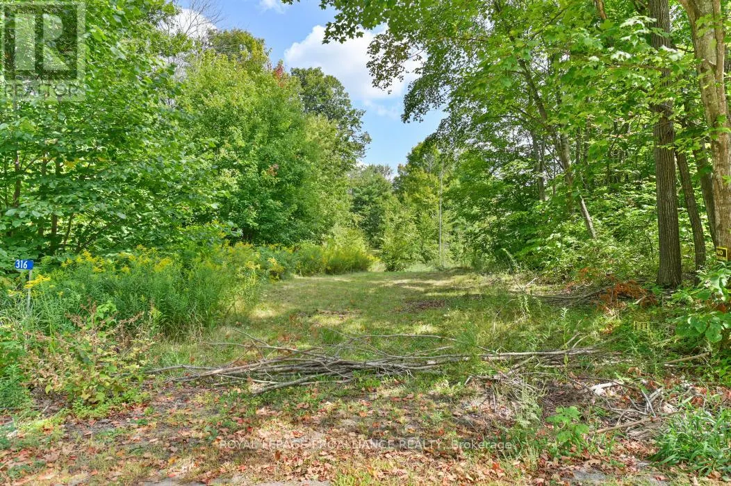 316 HIGH SHORE ROAD