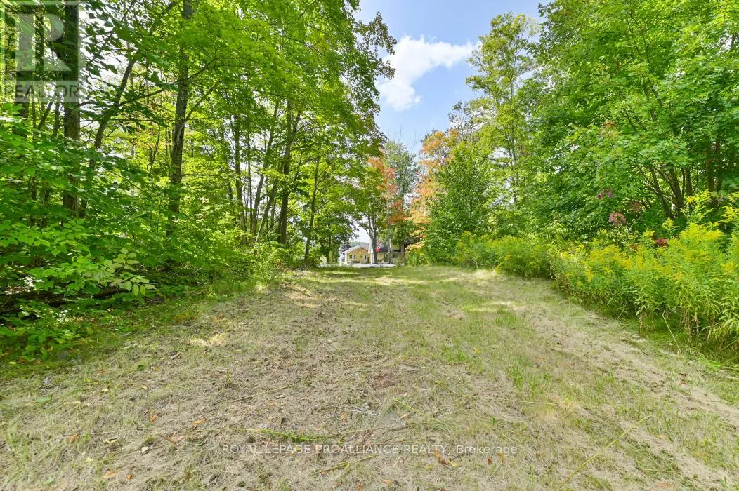 316 HIGH SHORE ROAD