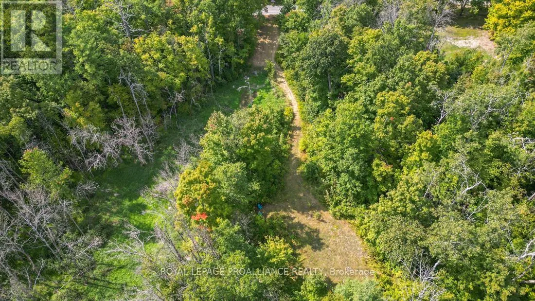 316 HIGH SHORE ROAD