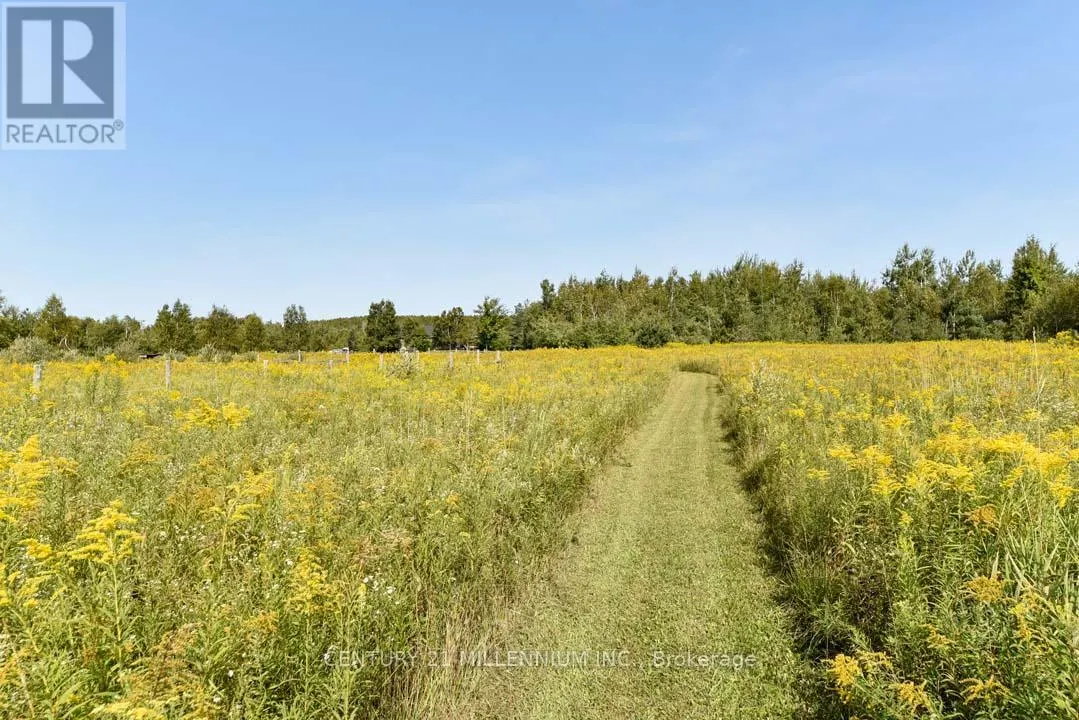 387091 20TH SIDE ROAD