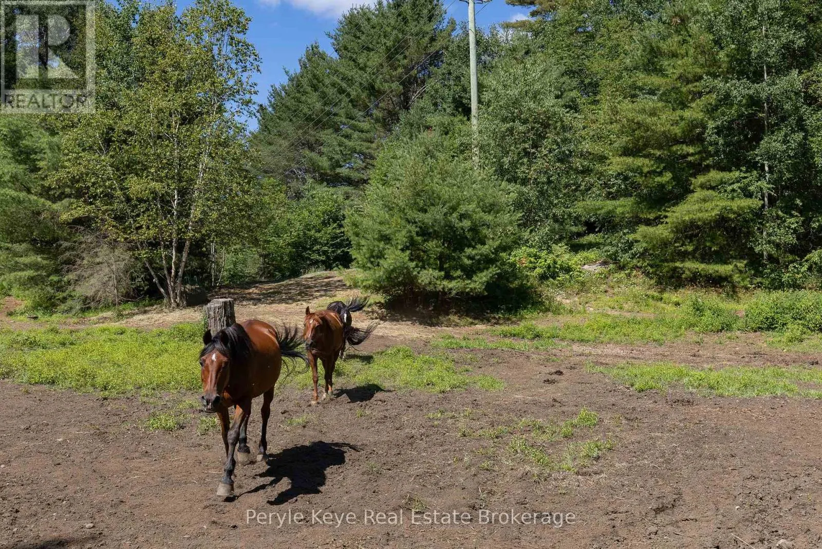 2322 OLD MUSKOKA ROAD