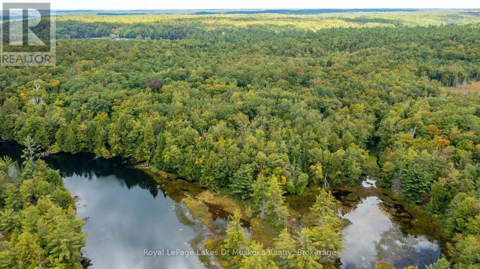 0 MUSKOKA RIVER