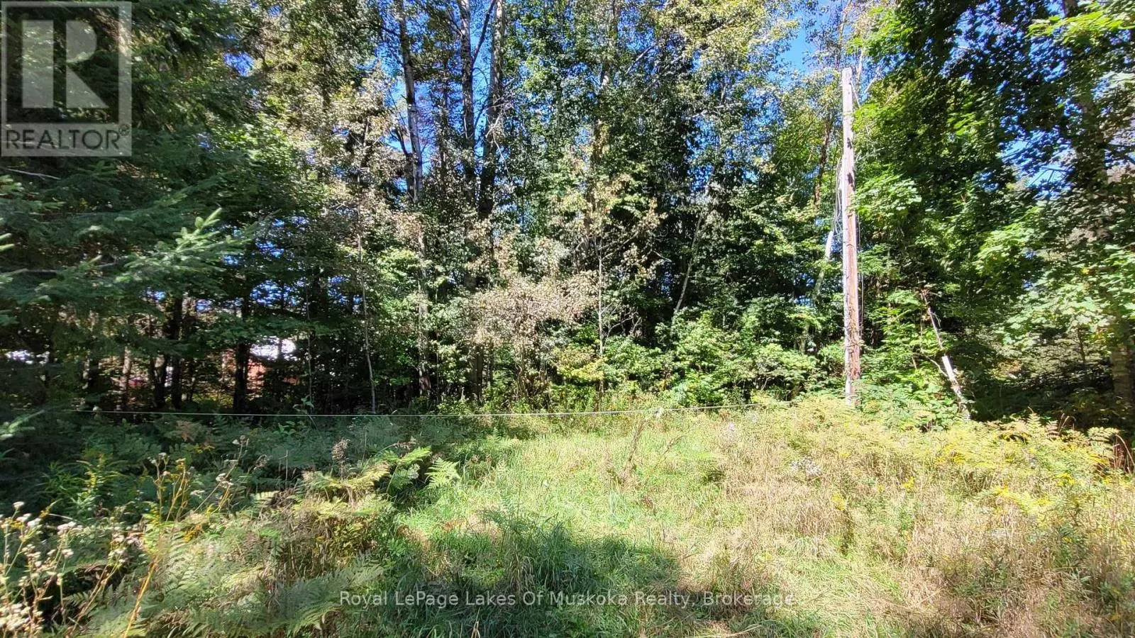 1059 ABLETT COURT