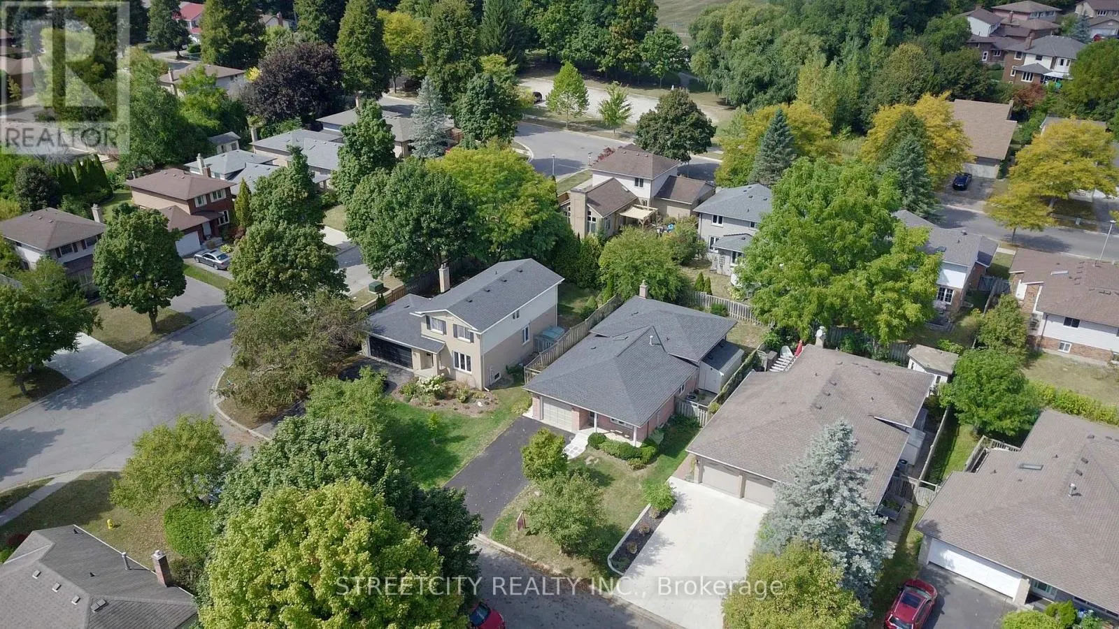 295 WALMER GROVE