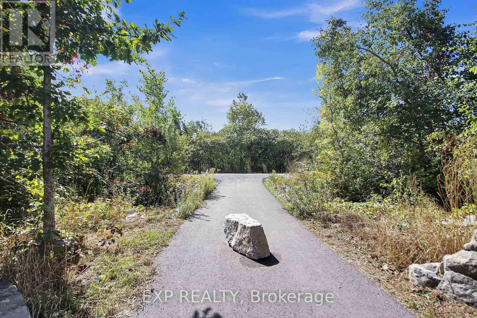 A1 - 97 FINDLAY AVENUE