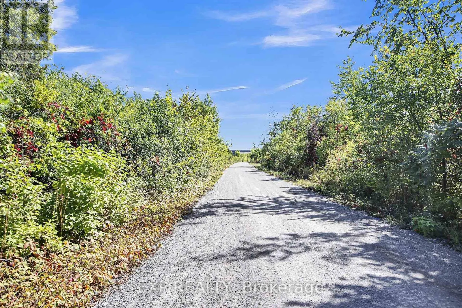 A1 - 97 FINDLAY AVENUE