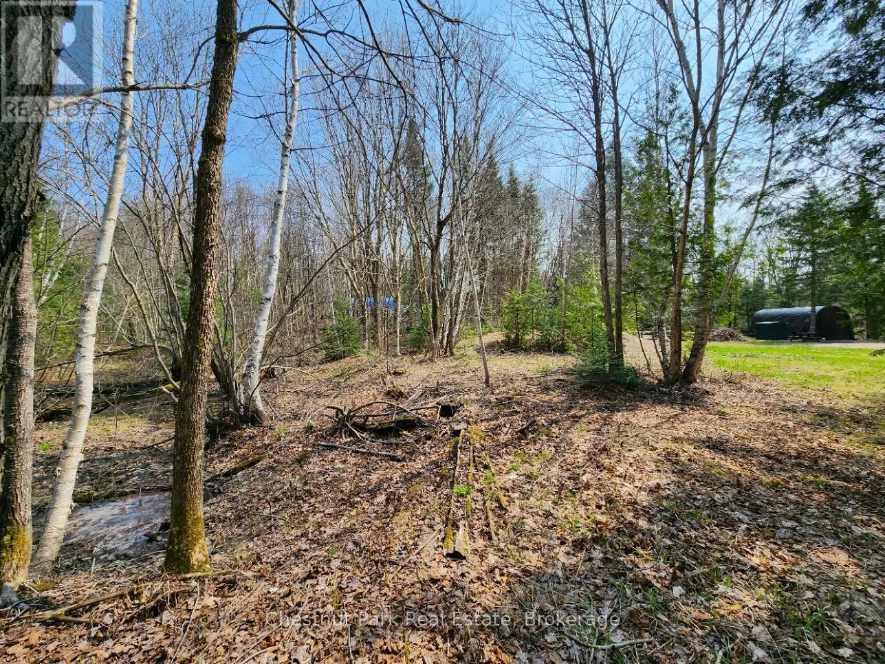730 ECHO RIDGE ROAD