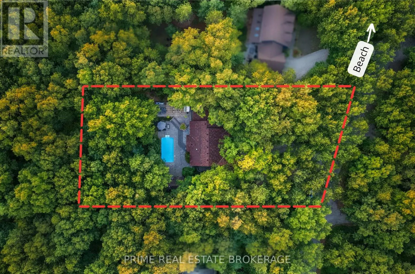10219 PINETREE DRIVE