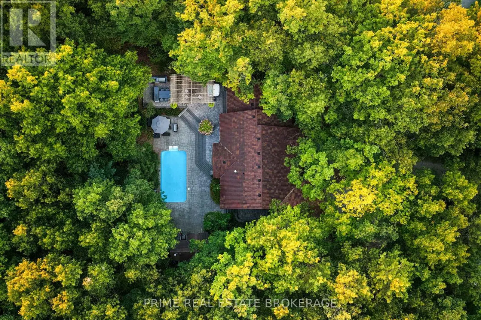 10219 PINETREE DRIVE