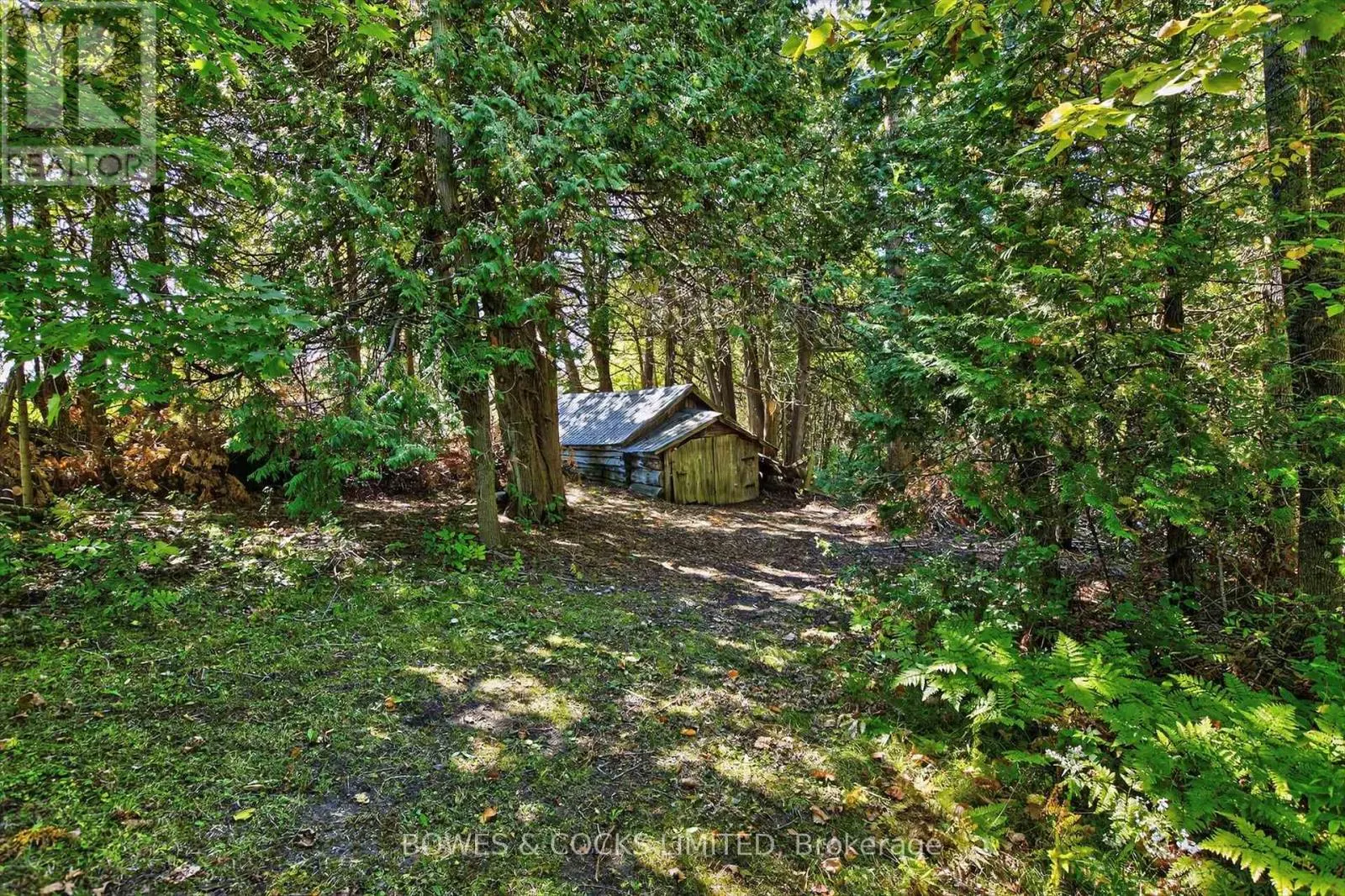 374 COUNTY ROAD 4