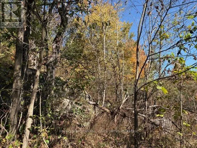 254 BRIAR HILL ROAD