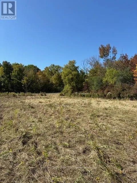 254 BRIAR HILL ROAD