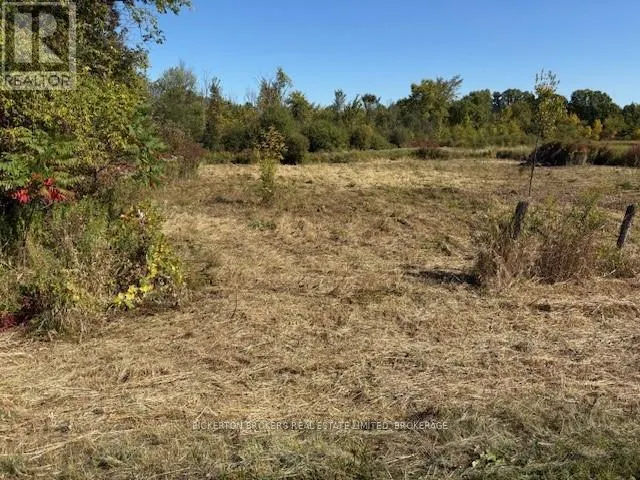 254 BRIAR HILL ROAD