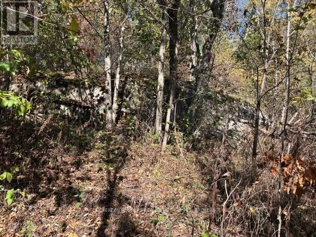 254 BRIAR HILL ROAD