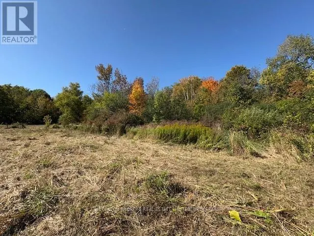 254 BRIAR HILL ROAD