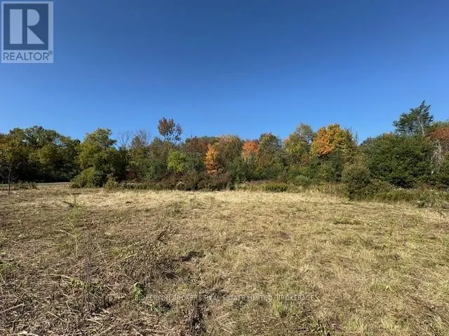 254 BRIAR HILL ROAD