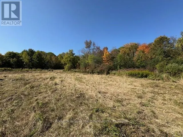 254 BRIAR HILL ROAD