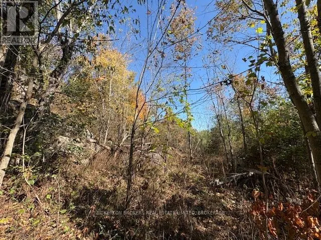 254 BRIAR HILL ROAD