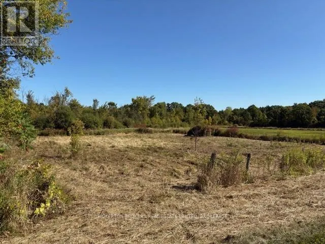 254 BRIAR HILL ROAD